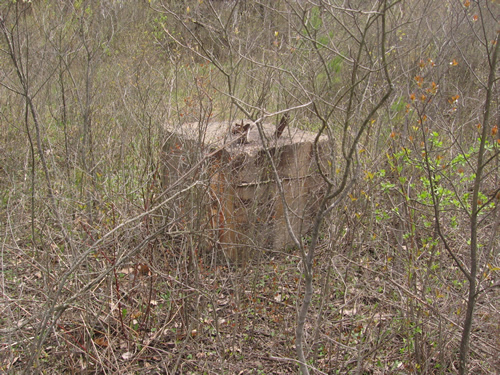 Western Michigan Speedway (West Michigan Speedway) - Spring 2008 From Me (newer photo)